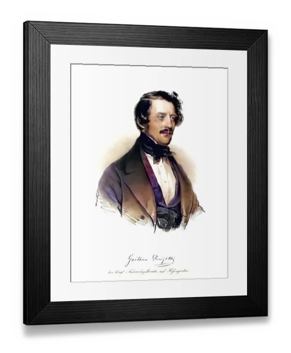 Framed Print : Gaetano Donizetti (pronunciation: (gae'ta?no donid'dzet?i)