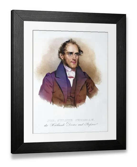 Framed Print : Joseph Julius Czermak (* 2 June 1799 in Prague)