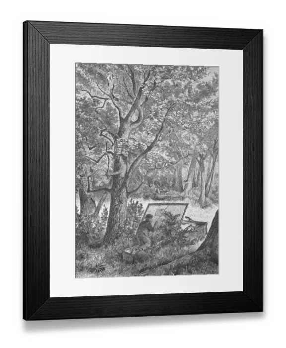 Framed Print : Catch of the Krammetsvoegel, Wacholderdrossel Framed Print : Catch of the Krammetsvoegel, Wacholderdrossel