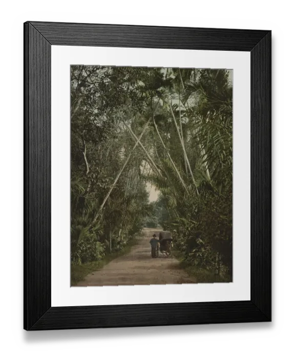 Framed Print : Singapore, Street in Tanglia, Historic Framed Print : Singapore, Street in Tanglia, Historic