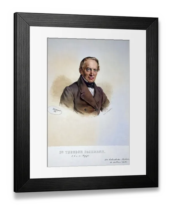Framed Print : Theodor Pachmann (1801-1881), Austrian jurist Framed Print : Theodor Pachmann (1801-1881), Austrian jurist