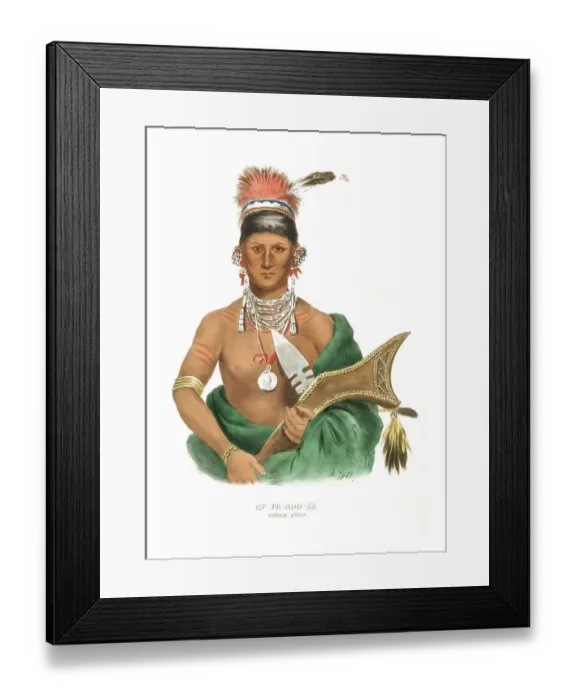 Framed Print : American Indian, Native American
