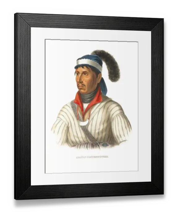 Framed Print : American Indian, Native American