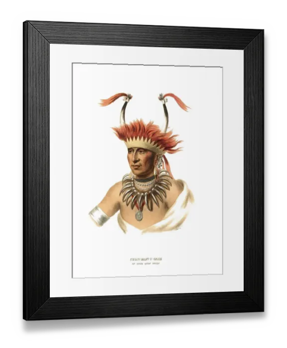 Framed Print : American Indian, Native American