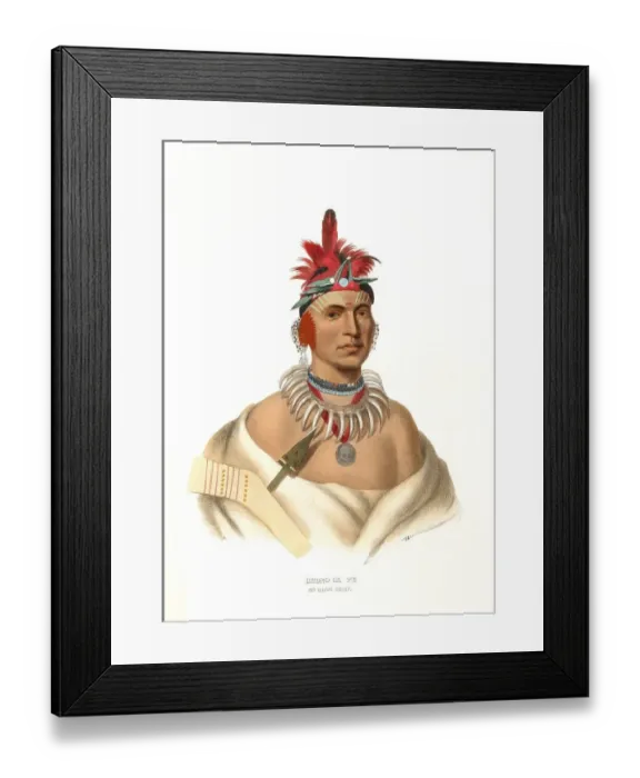 Framed Print : American Indian, Native American