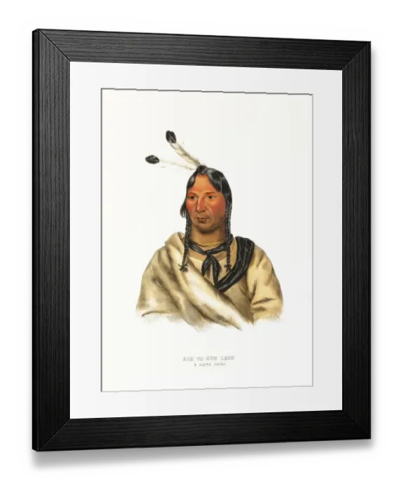 Framed Print : American Indian, Native American