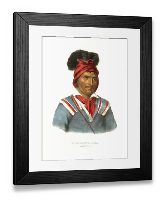 Framed Print : American Indian, Native American