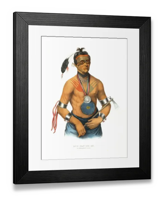 Framed Print : American Indian, Native American
