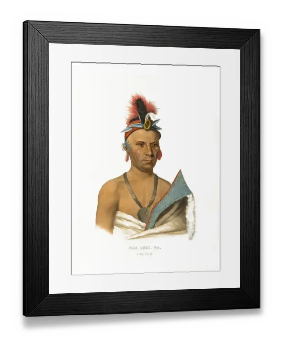 Framed Print : American Indian, Native American