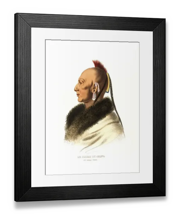 Framed Print : American Indian, Native American