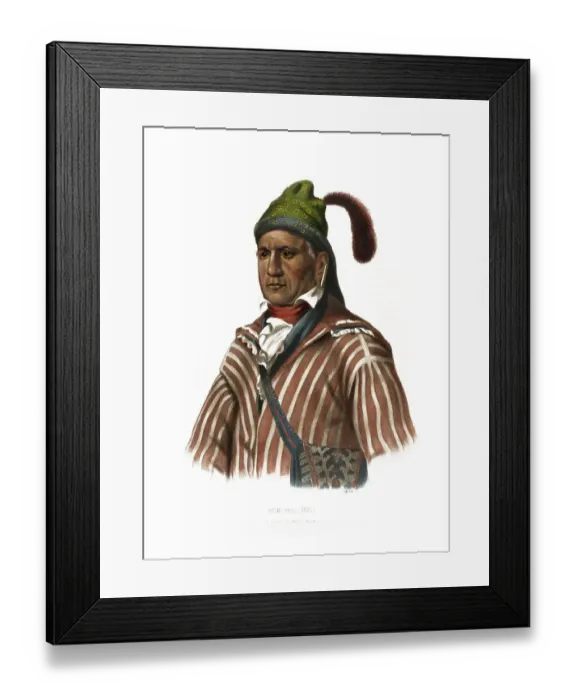 Framed Print : American Indian, Native American