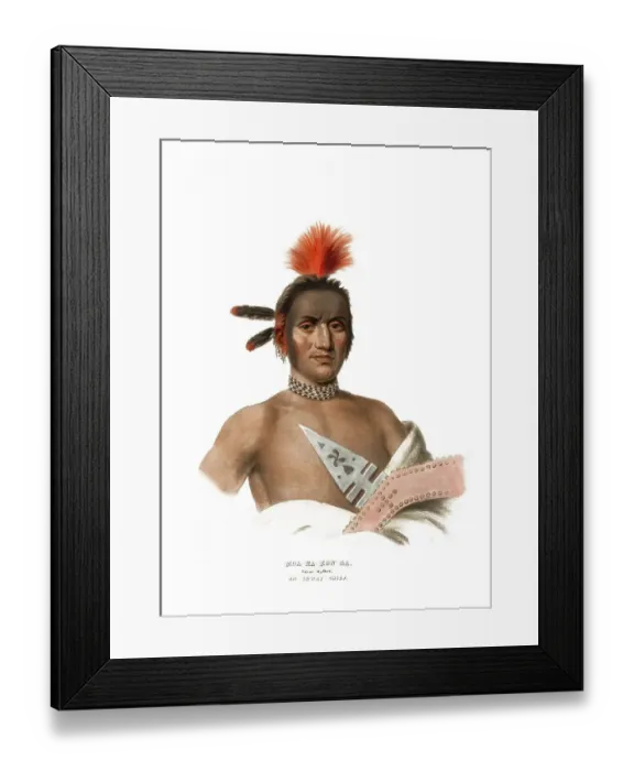 Framed Print : American Indian, Native American