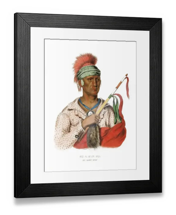 Framed Print : American Indian, Native American