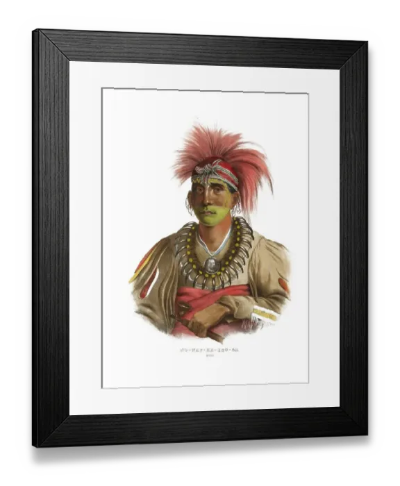 Framed Print : American Indian, Native American