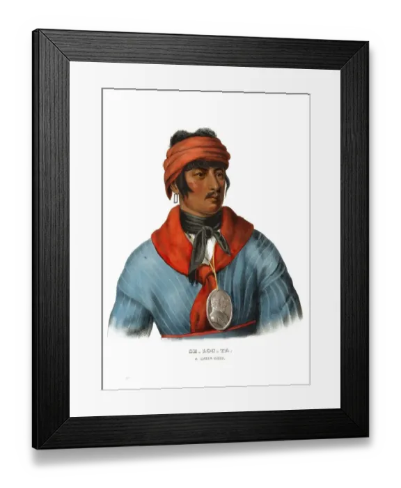Framed Print : American Indian, Native American