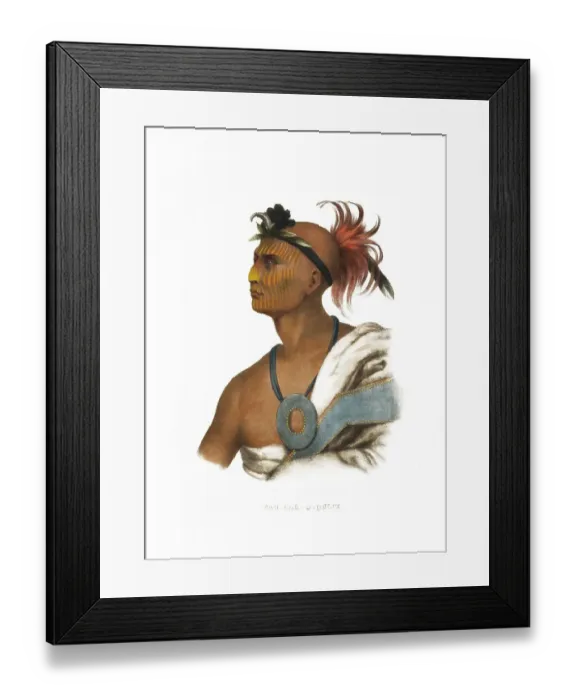 Framed Print : American Indian, Native American