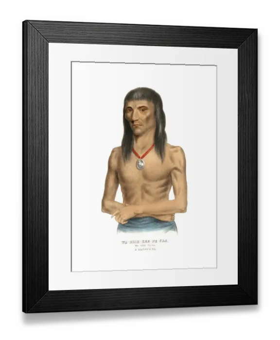 Framed Print : Indians, Native Americans of North America Framed Print : Indians, Native Americans of North America