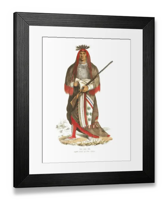 Framed Print : American Indian, Native American