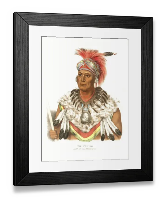 Framed Print : American Indian, Native American