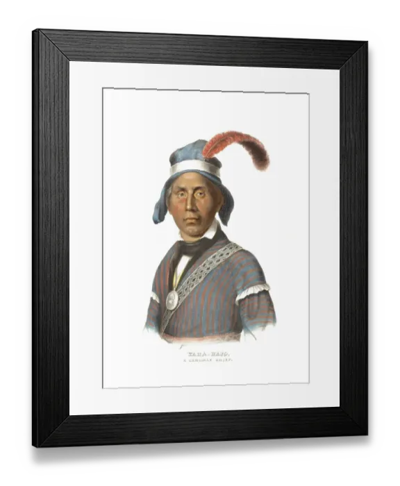 Framed Print : American Indian, Native American
