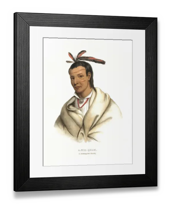 Framed Print : American Indian, Native American