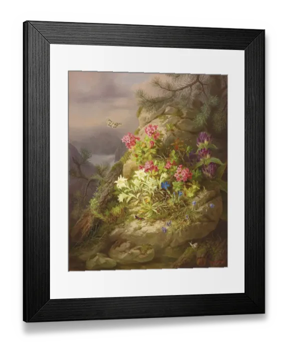 Framed Print : Alpine flowers on a rocky mountain landscape with snail and flowers and flying butterfly