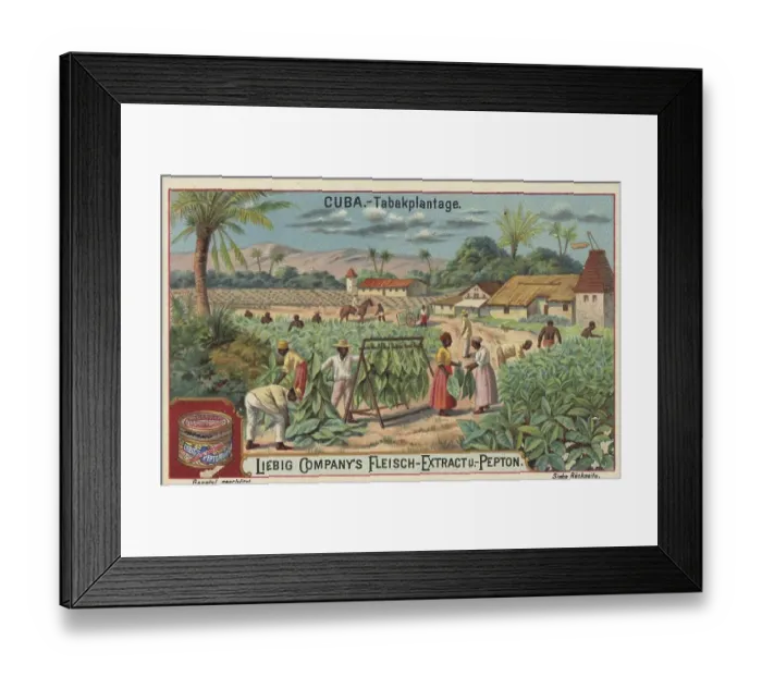 Framed Print : Picture series Scenes from Cuba Framed Print : Picture series Scenes from Cuba