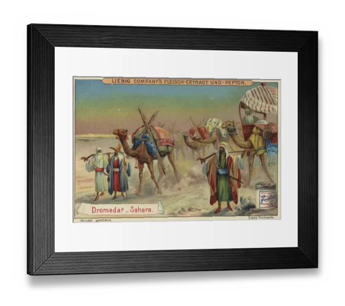 Framed Print : Picture series Animals of the Lands Framed Print : Picture series Animals of the Lands