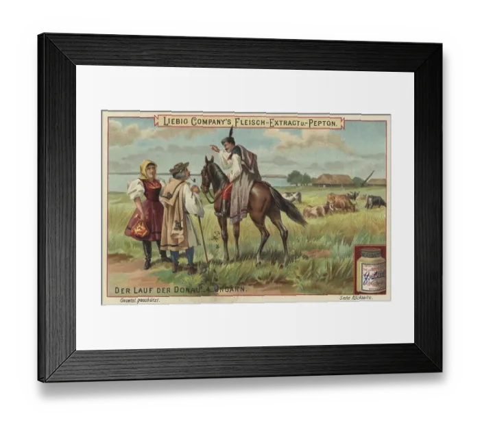 Framed Print : Picture series The course of the Danube