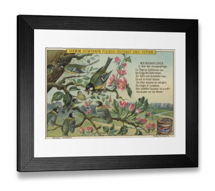 Framed Print : Picture series Birds, tits, caring for their young Framed Print : Picture series Birds, tits, caring for their young