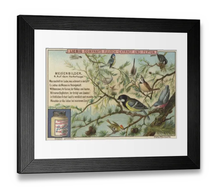 Framed Print : Picture series Birds, tits, on the autumn migration Framed Print : Picture series Birds, tits, on the autumn migration
