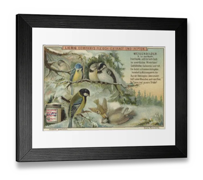 Framed Print : Picture series Birds, tits, in winter distress