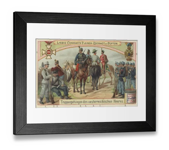 Framed Print : Picture series Military units, types of troops of the Austrian army