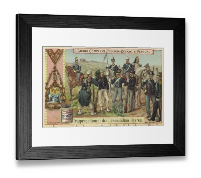 Framed Print : Picture series Military units, types of troops of the army of Italy