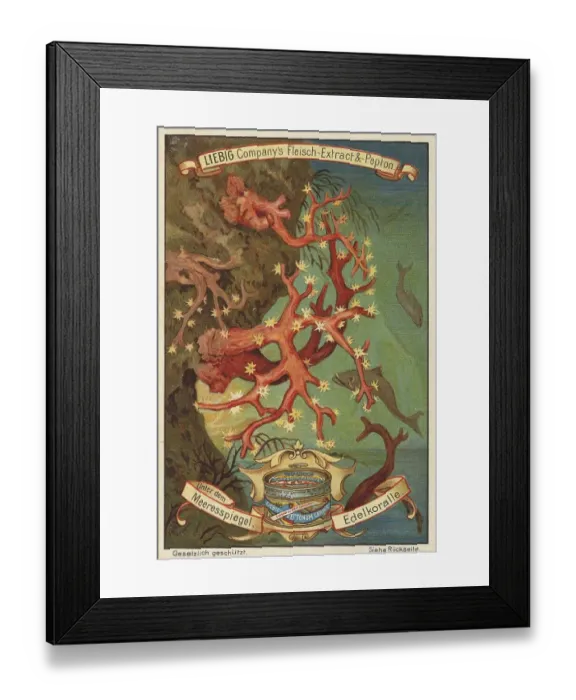 Framed Print : Picture series Below sea level
