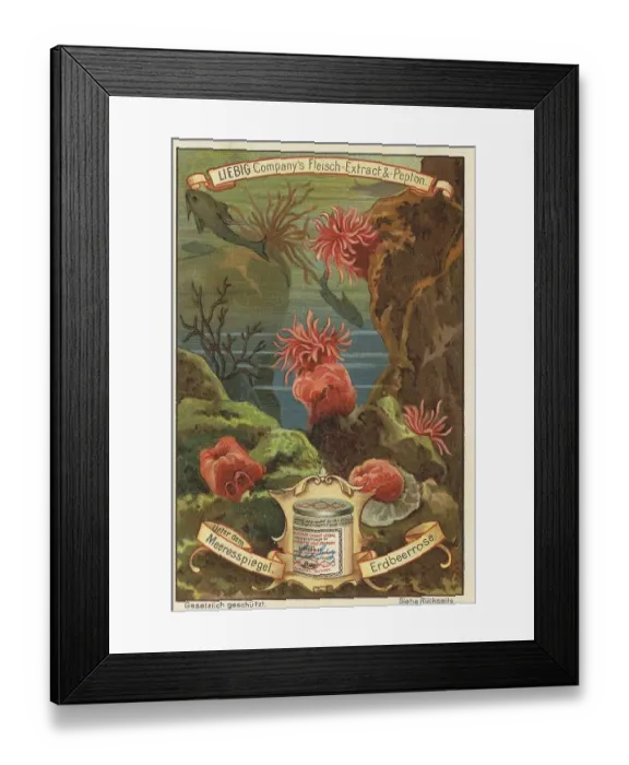 Framed Print : Picture series Below sea level Framed Print : Picture series Below sea level