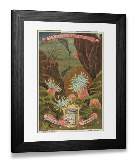 Framed Print : Picture series Below sea level