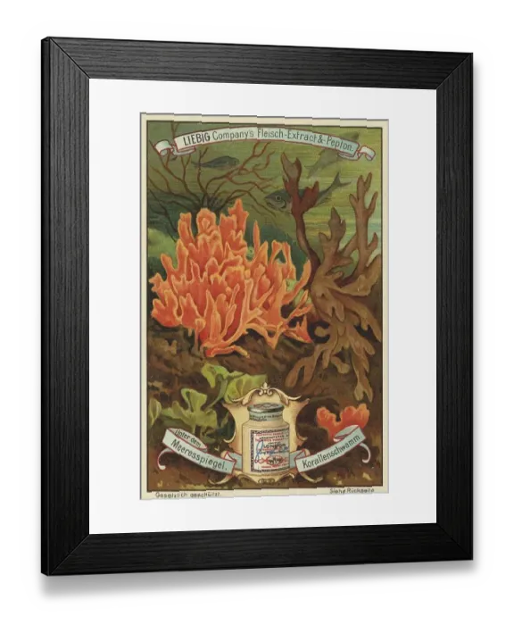 Framed Print : Picture series Below sea level