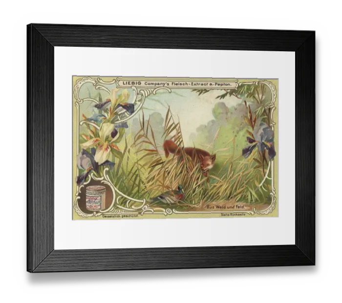 Framed Print : Picture series From woods and fields Framed Print : Picture series From woods and fields