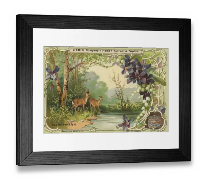 Framed Print : Picture series From woods and meadows