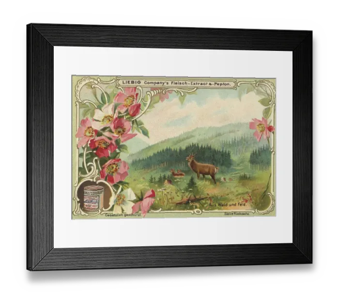 Framed Print : Picture series From woods and meadows Framed Print : Picture series From woods and meadows