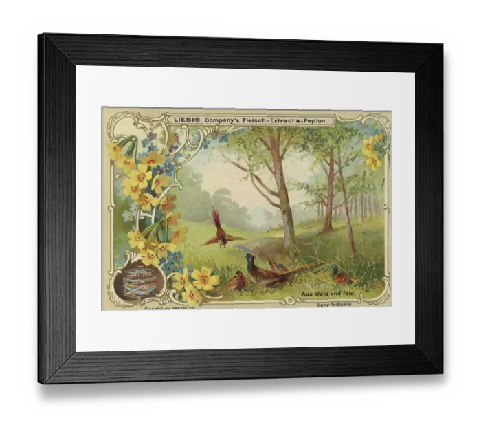 Framed Print : Picture series From woods and fields Framed Print : Picture series From woods and fields