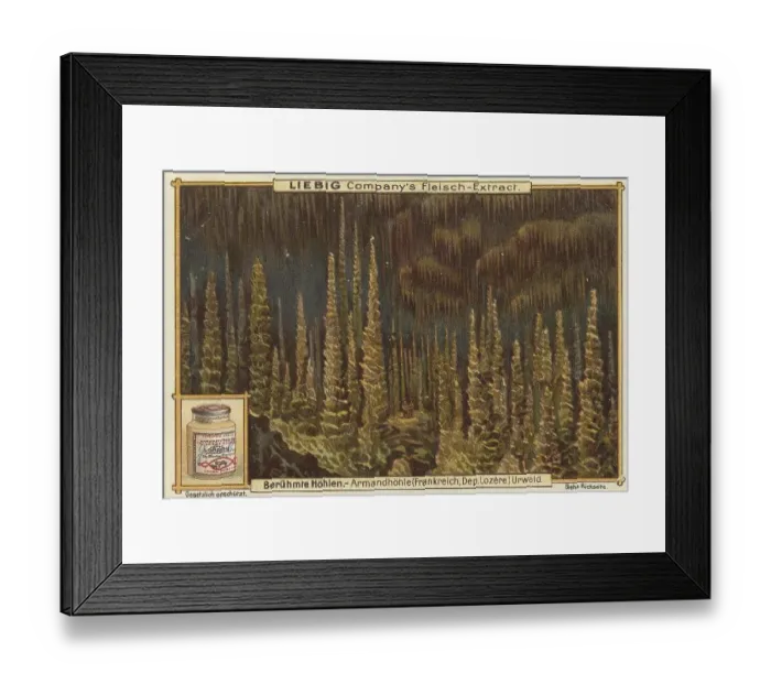 Framed Print : Picture series Famous Caves, Stalagmites of the Armand Cave