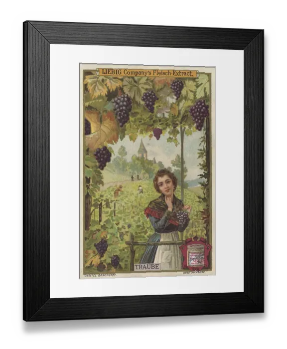 Framed Print : Series tropical fruits with local people