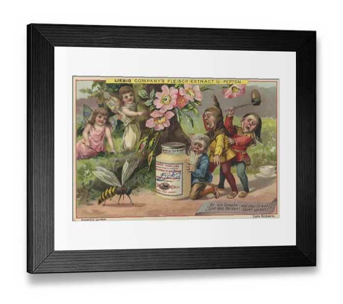 Framed Print : Picture series Elves and gnomes