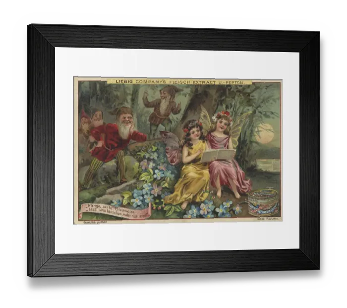 Framed Print : Picture series Elves and gnomes