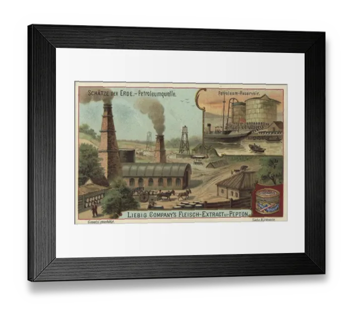 Framed Print : Picture series Treasures of the Earth Framed Print : Picture series Treasures of the Earth