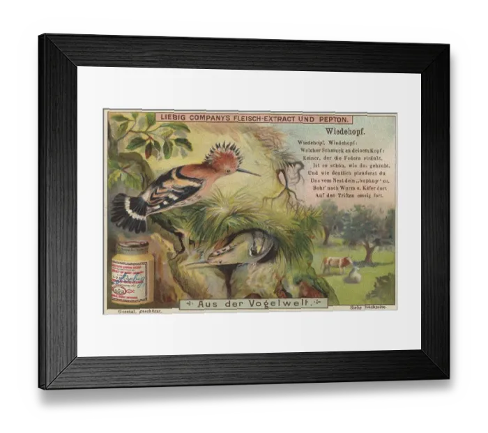 Framed Print : Picture series From the world of birds Framed Print : Picture series From the world of birds