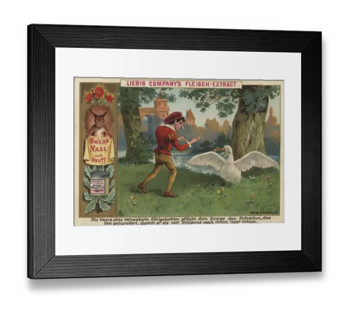 Framed Print : Picture series Dwarf Nose, 5, The goose Framed Print : Picture series Dwarf Nose, 5, The goose