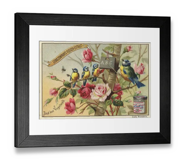 Framed Print : Picture series From the world of birds